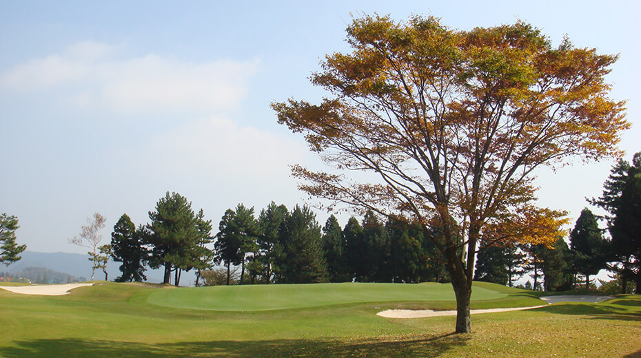 IN14番にある『けや木』