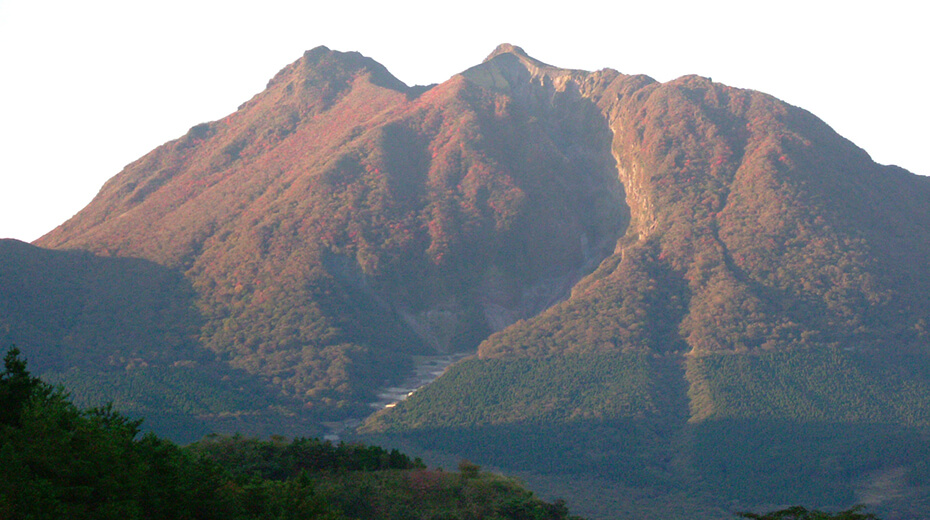 紅葉に染まる由布岳。